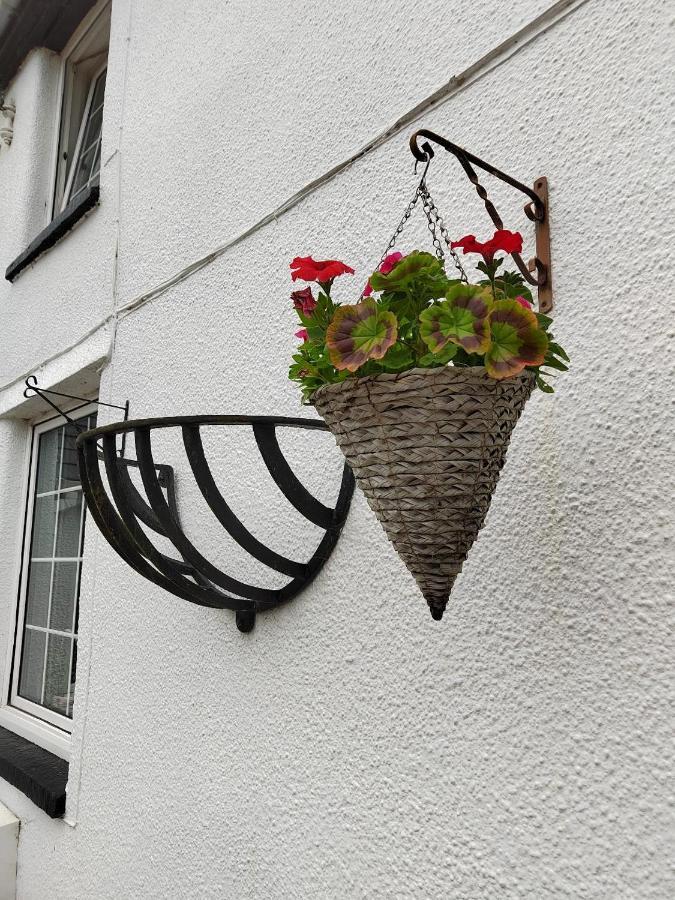 Rooms By The River At Glan Aber Cynwyd Eksteriør bilde